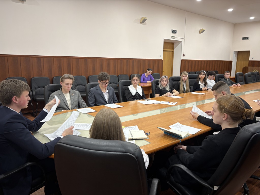 Январские заседания Молодежного парламента