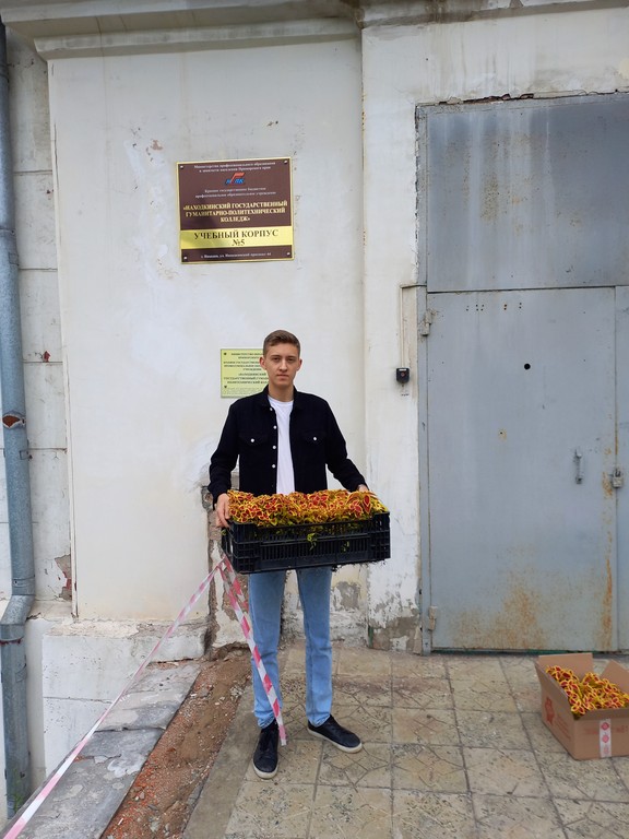 Приятный сюрприз