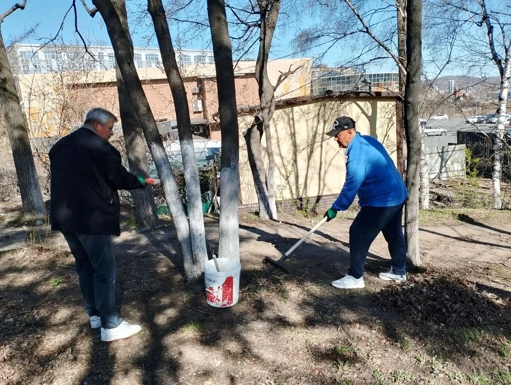 Участие во Всероссийском субботнике